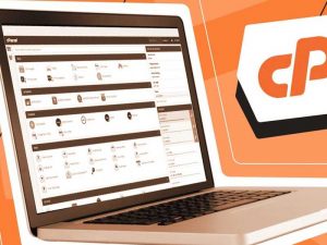 cPanel